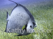 -005P1010105