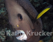 -015Utila-2006126