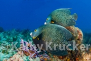 -023Cozumel_2008_KK_038