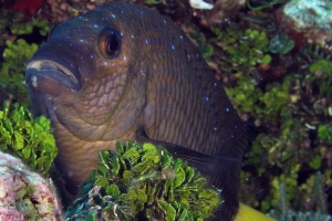 -023utila148