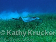 -002Belize-kk-18