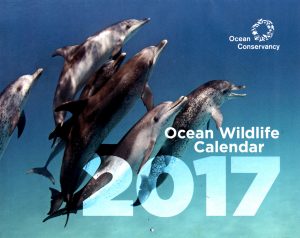2017-ocean-conservancy