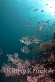 -001_DSC5492