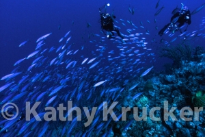 -023Bonaire20070621K203