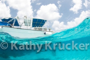 -025Bonaire_08Bonaire_08_keepers027