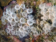 -047UTILA~6B