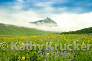 -001_DSC8968-Edit-Edit