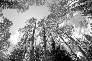 -002Crested_Butte-kk-01