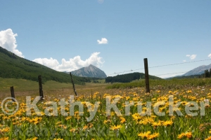 -008Crested_Butte-kk-31