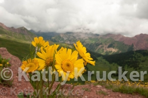 -010Crested_Butte-kk-56