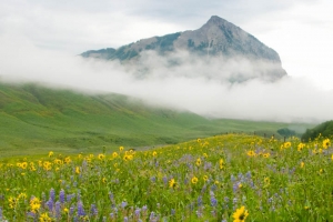 Mt. Crested Butte