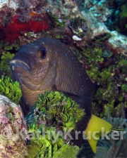 -002utila148