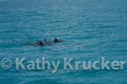 -032Bahamas_Day7-271