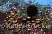 -005INDO_KEEPERS_033