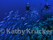 -010Bonaire20070621K203