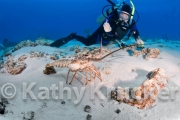 -002Cozumel_2008_KK_047