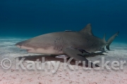 -045Bahamas_Day8-197